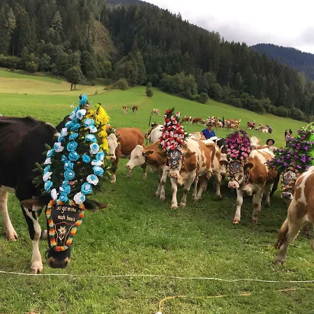 Haus Hochfeld 公寓 Angerberg (Tyrol)